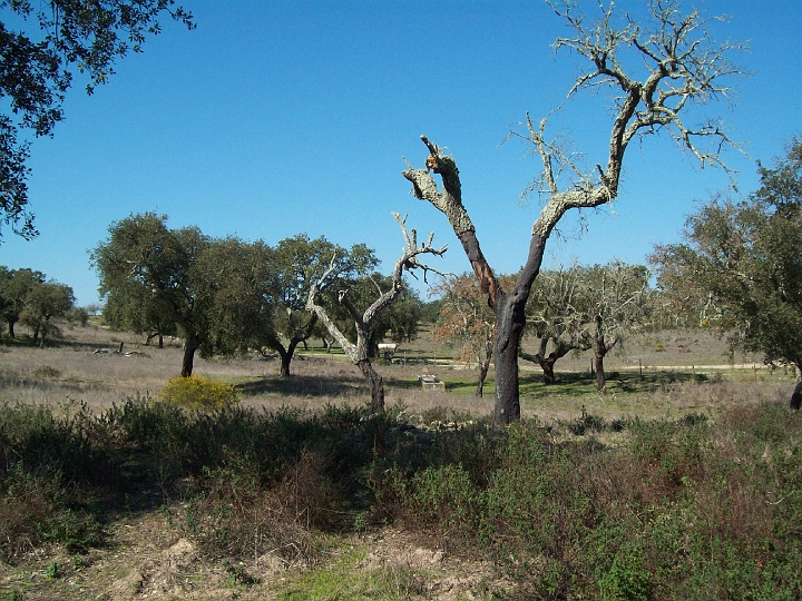 2009_portugal 210